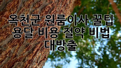 옥천군 원룸이사 꿀팁🍯 용달 비용 절약 비법 대방출!